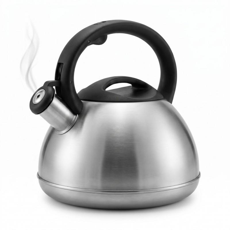 3L Stainless Steel Whistling Kettle Stove Induction Cooktop Modern Minimalist Design Food-Grade 201 Non-Electric