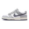 Кроссовки Nike Dunk Low Platinum Tint Light Carbon GS FB9109-101