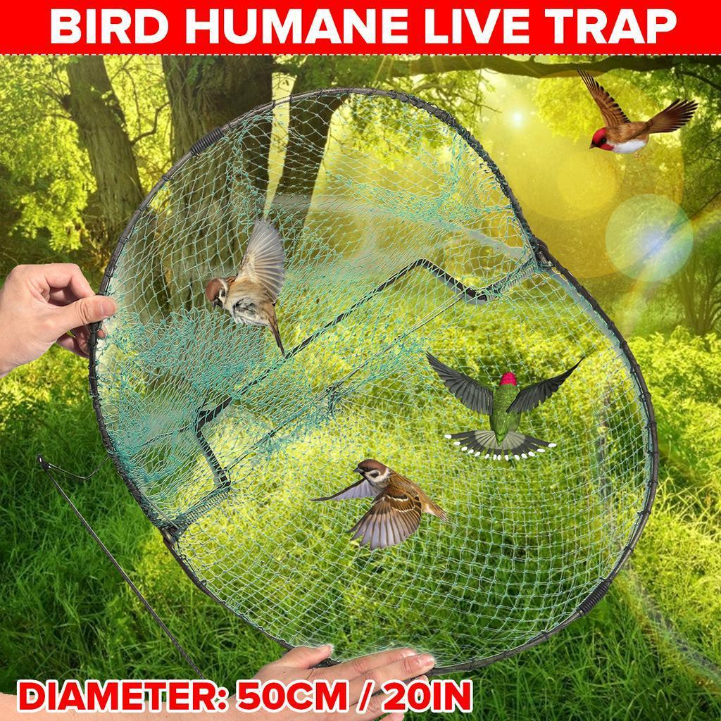 New 50X45 Cm Green Bird Net Effective Humane Live Trap Hunting Sensitive Quail Humane Trapping Hunting Garden Supplies Pest Control