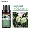 PHATOIL 5 мл/10 мл/15 мл/30 мл/100 мл Эфирные масла каепута Повышают иммунитет Чистое антибактериальное эфирное масло Дегельминтизация Спа-массажное масло для тела