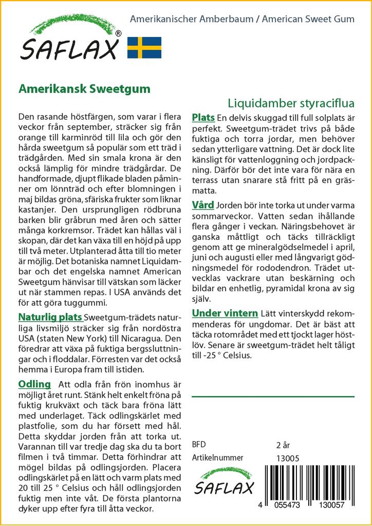 SAFLAX American Sweet Gum - 100 семян - Liquidamber styraciflua