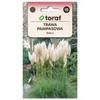 Pampas Grass WHITE 0.1g