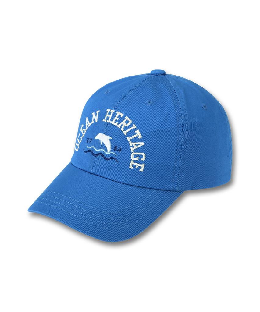 DOLPHIN WAVE APPAREL Синяя кепка-бейсболка с изображением дельфина Ocean Heritage