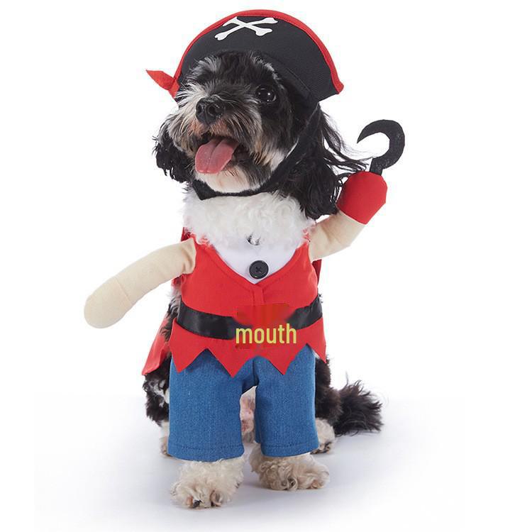 Funny Dog Halloween Costumes: Teddy Schnauzer Thor Transformation Outfit