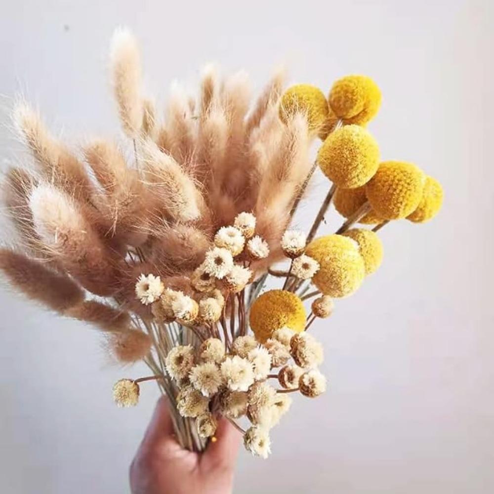 30PCS Natural Yellow Craspedia Billy Balls, Yellow Billy Buttons Balls Bouquet Dried Yellow Flowers for Home Decor Photo Props DIY Wedding Decoration