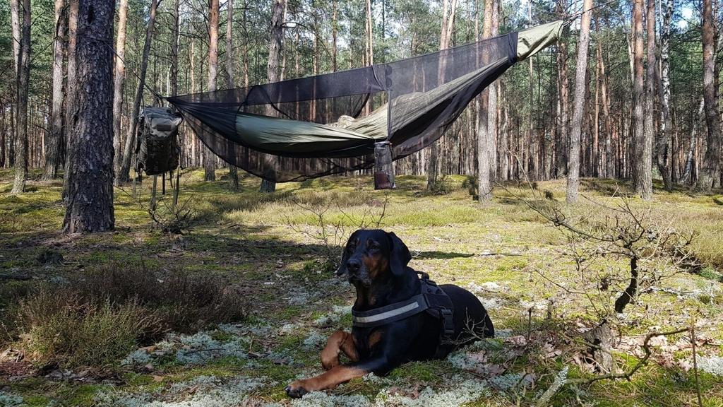 Travel Travel ZEN Hammock Zen Hammock Genuine Japanese Product Full Set [BUSHMEN Gear] [BUSHMEN Gear] - (Olive Model)