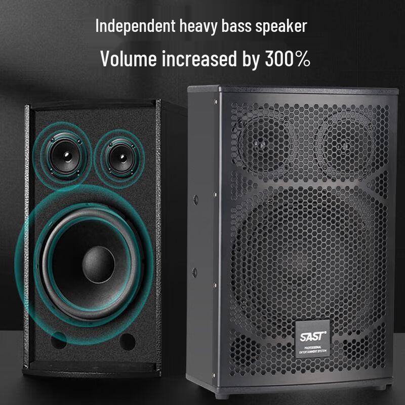 SAST H8 8-дюймовая 3-полосная пассивная акустическая система для домашнего KTV и конференций
