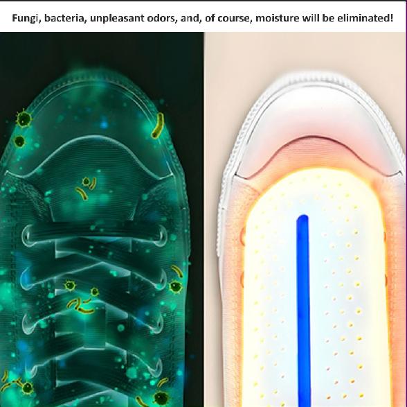 Quick-Dry Electric Shoe Dryer Warm Boots Clean Shoes UV Sanitizing & Moisture Eliminator