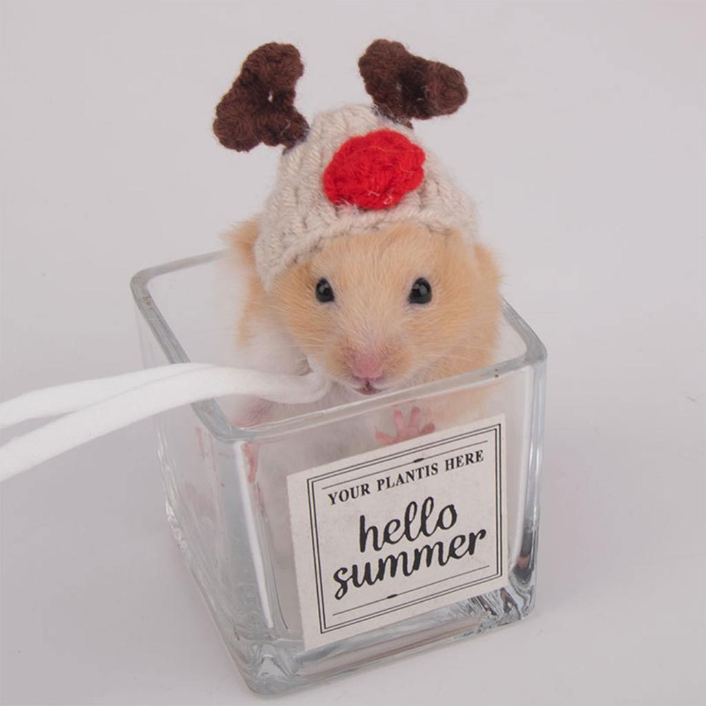 Вязаная крючком шапка-головной убор в виде морковки для хомяка, фестивальный подарок, ручная работа, реквизит для костюма, радужная шапка-морковка, головной убор