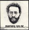 Виниловая пластинка BURNING SPEAR  Burning Spear SOLP0150 Studio One Ямайка Регги Ска Даб Б/у