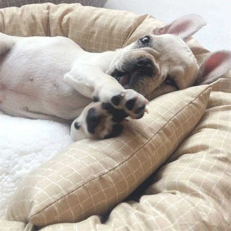 Dog Pet Beds Small Dogs Kennel Large Medium Basket Bed for Cats Supplies Puppy Breeds Accessories Mat Fluffy