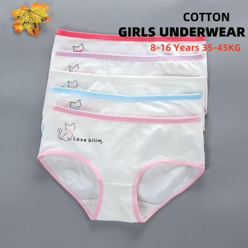 Girls Underwear Cotton Briefs Breathable Children Cartoon Summer Low Waist