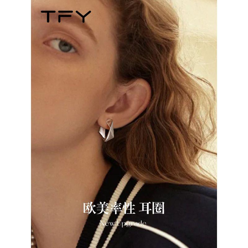Geometric Metal Hoop Earrings for Women 2026 New Popular Style High-End Pure Silver Needle European and American Niche Design Earrings