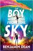 The The Boy Who Fell From the Sky Book