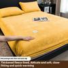 2026 New Plush Warm Fitted Sheet Bedspread Flannel Thicken Bed Mattress Cover Bed Protector Sheets No Pillowcase