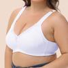 Meilan Sheng Plus Size Lace Bra B-G Cup Boutique Lingerie