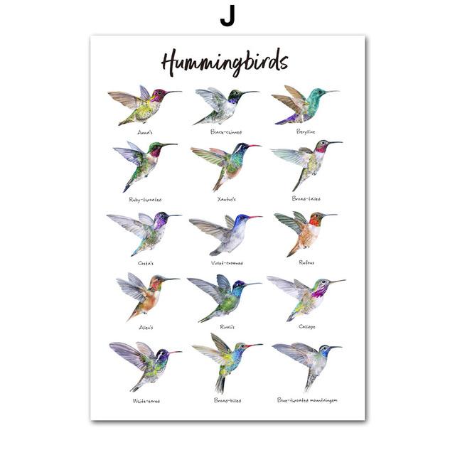 Насекомые, птицы, бабочки, сафари, образовательные плакаты с животными и принты, холст, украшение для детской комнаты, домашние картины, детская комната