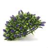 Лавандовый Шаровидный Цветок Корзина Топиарий Шар Искусственное Растение Подвесное Украшение для Сада Заднего Двора Свадебный Декор X3UC
