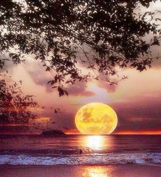 RUOPOTY Paint By Numbers Moon Scenery Unique Gift Home Decoration Picture By Number Sea Acrylic Drawing On Canvas