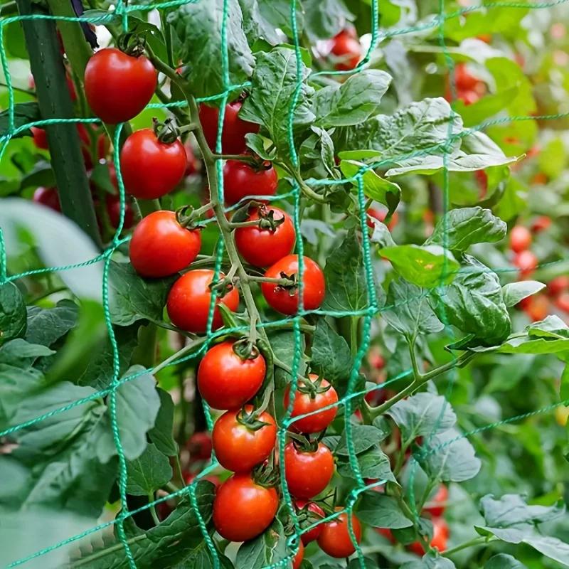 Перголы для растений, прочная сетка для выращивания из полиэстера, садовая решетчатая сетка с квадратными ячейками для вьющихся растений, овощей,