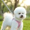 New cat vest-style chest strap dog reflective breathable leash small and medium-sized dog walking leash pet supplies