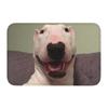 English Bull Terrier Banksy Style Doormat Non-Slip Kitchen Bathroom Mat Bedroom Balcony Door Floor Entrance Carpet Rug