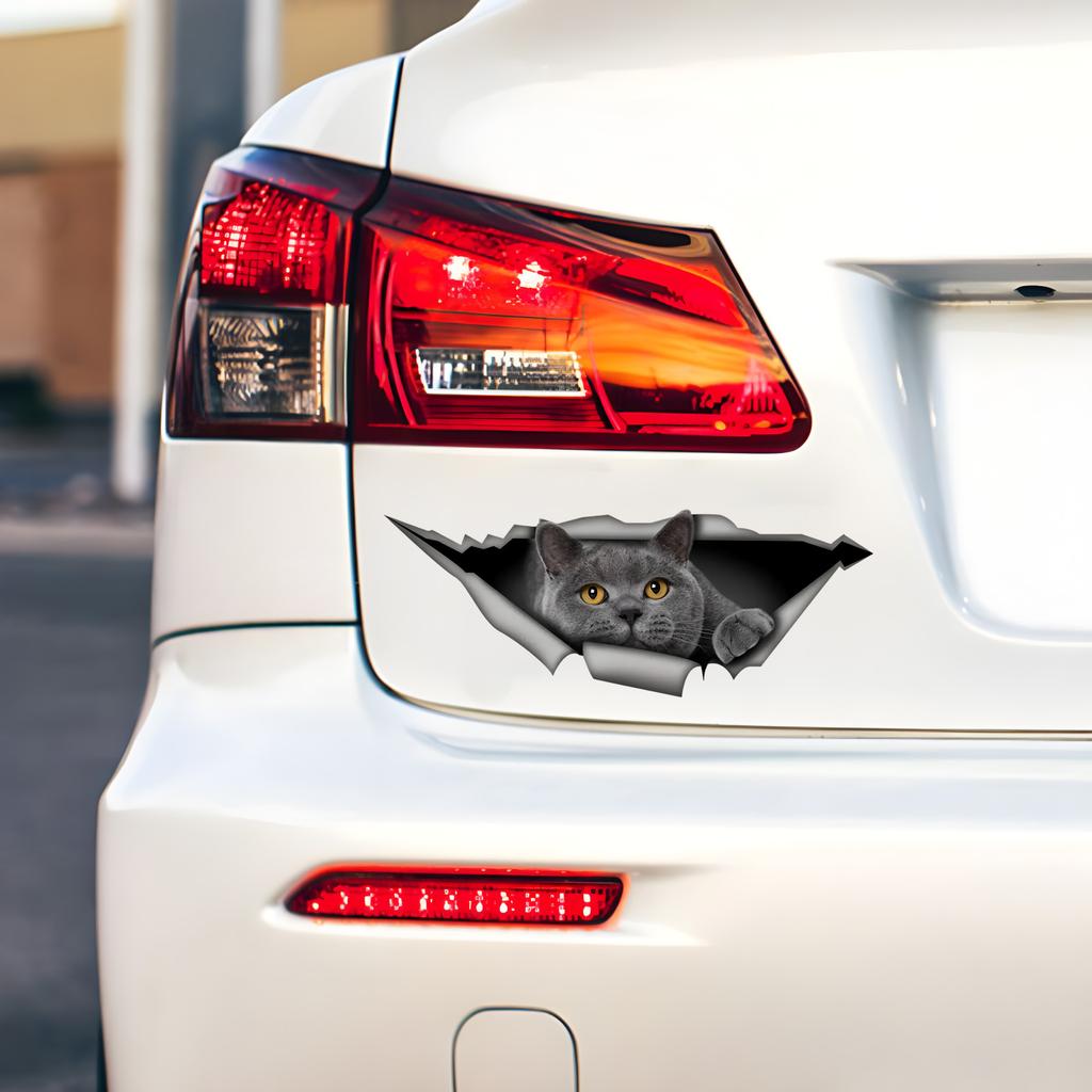 British Shorthair Cat 3D Break the Wall Car Sticker, Waterproof Vinyl Material Accessories, Interesting Creativity For Cars, Trucks, Motorcycles