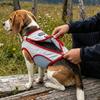 Breathable Dog Cooling Vest Adjustable Zipper Design Dog Sunscreen Clothes with Traction Sun Protection Pet Cooling Shirt