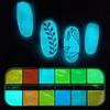 Glow In Dark Nail Glitter Powder DIY Manicure Tips Luminous Pigment Decoration