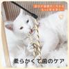 SONGWAY Cat Teaser, Popular Cat Toy with Cotton String, Durable, Stress Relief, 3 Pieces In 3 Colors