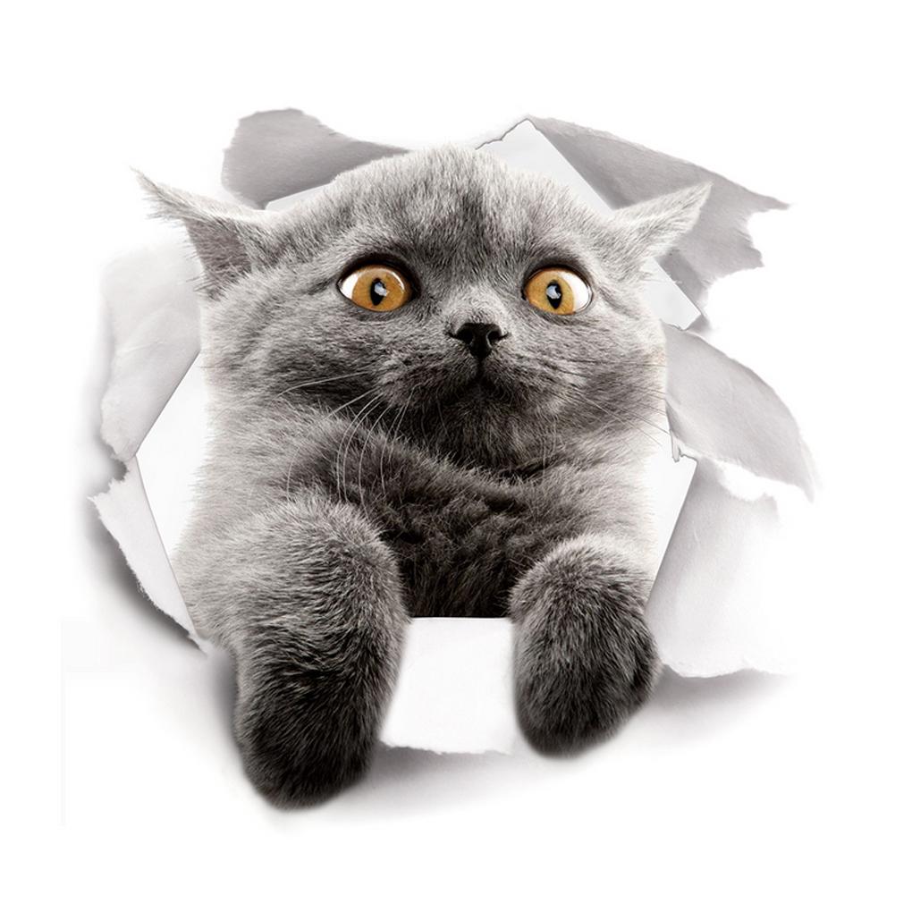 3D Милый Котенок Наклейка на табуретку Детская Спальня Декор Стены Кот Мультфильм Наклейка на Холодильник ADM