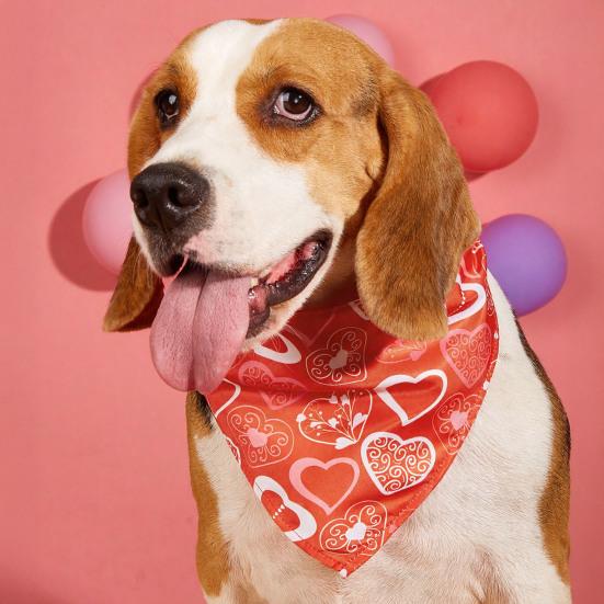 Салфетки для слюны питомца Регулируемый ремешок Изысканный узор в виде сердечек Ткань для чистки питомца Вечеринка в честь Дня святого Валентина питомца День рождения