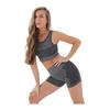 Спортсменка, фитнес, йога, пилатес, бесшовные спортивные шорты-бюстье, комплект
