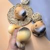 Capybara Squeeze Toy Slow Rebound Soft TPR Stress Anxiety Relief Portable