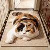 3D кошачий глаз Силикофлора Коврик для пола, Коврик для пола в ванную комнату дома, Быстросохнущий впитывающий влагу Коврик для ног, Легко моющийся Коврик для ванной