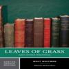 Leaves of Grass by Walt Whitman Paperback Book 9780393974966