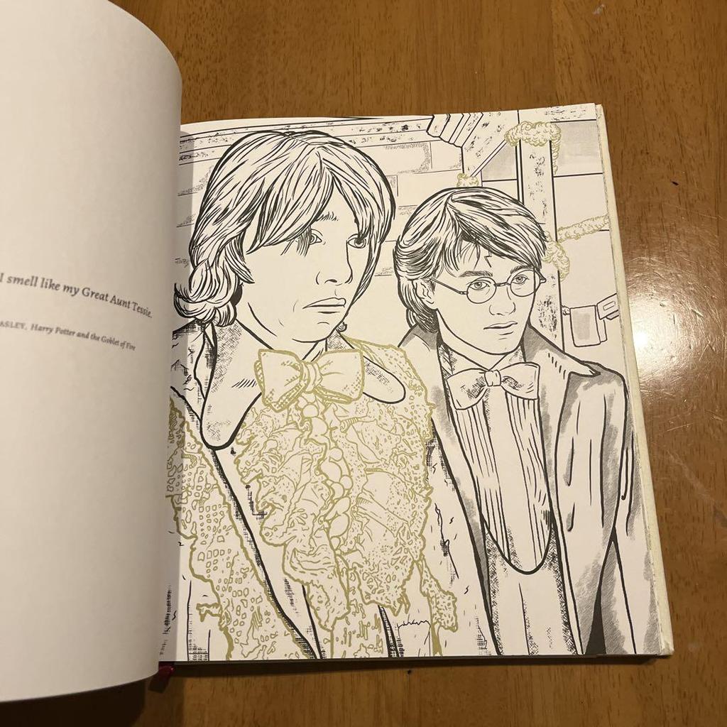 [USED] Harry Potter: A Cinematic