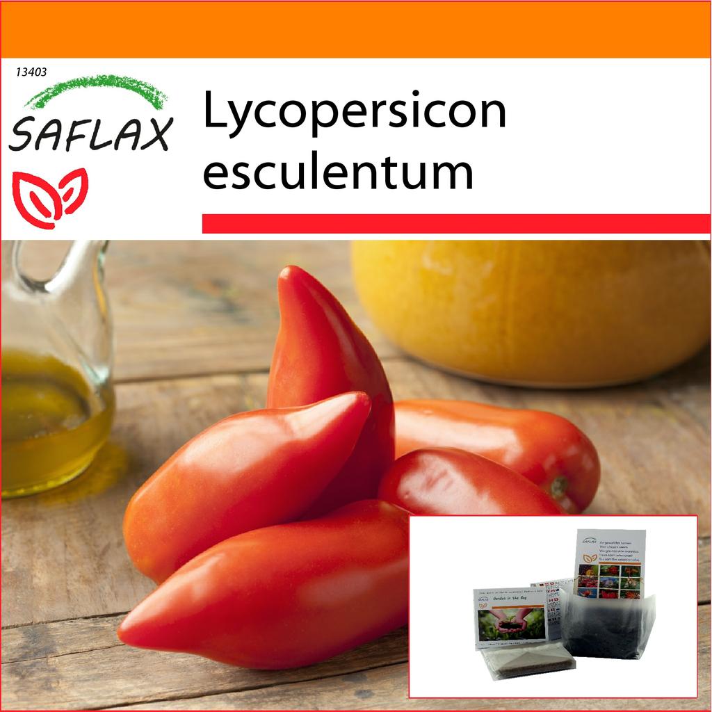 SAFLAX Garden in the Bag - Помидор - Cornue des Andes - 10 семян - С субстратом в подходящем пакете - Lycopersicon esculentum