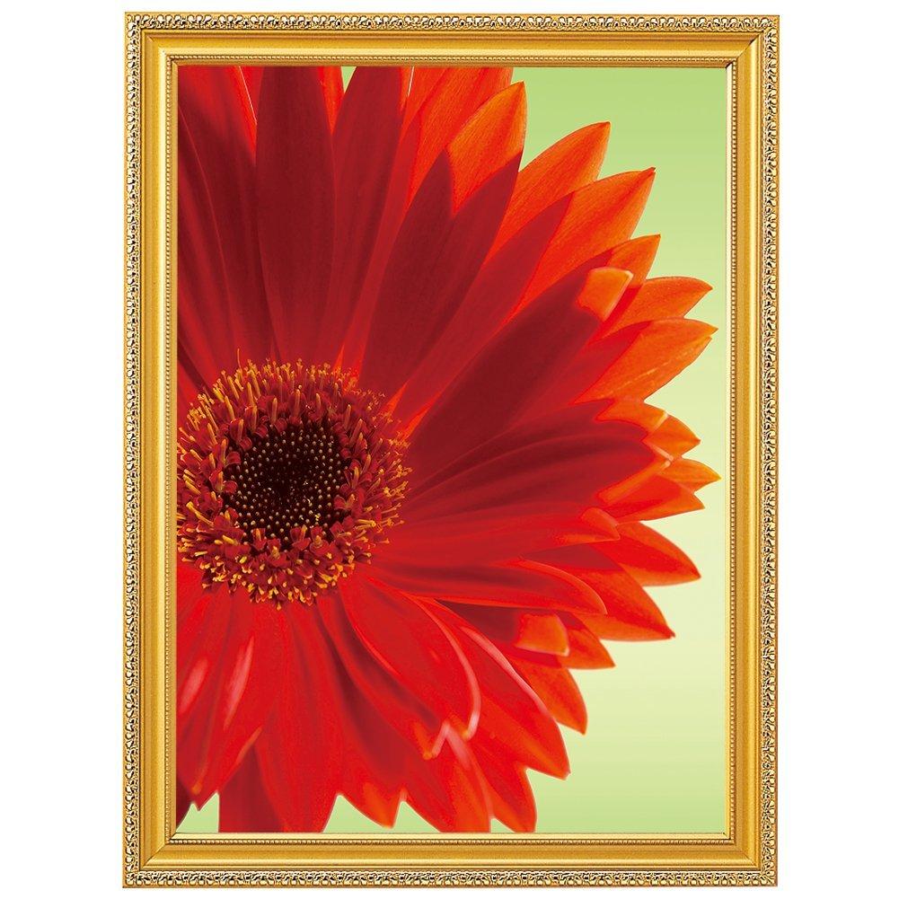 KOKUYO Рамка для картины Золотая Матовая Сертификат Награды A3 Ka-32N