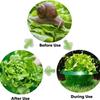 10PCS Plastic Vegetable Slug Collars Thickened Insect-Proof Plant Protection Covers Bite Protection Barrier Round