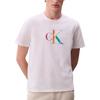 Pride Series Soft Loose Rainbow Letter Logo Crew Neck Short Sleeve T-Shirt Men Tops LV04RC800G-YAA