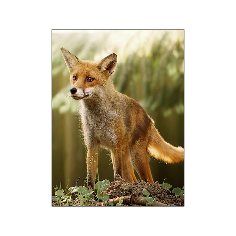 Скандинавский весенний пейзаж, холст, картина, постер, дикий цветок, животное, лиса, лось, белка, природа, одуванчик, современная картина, домашний декор