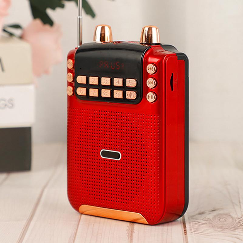 10 Вт Bluetooth 18650 аккумулятор FM-радио для пожилых людей подарок громкоговоритель рекордер экскурсовод театр TF карта MP3-плеер