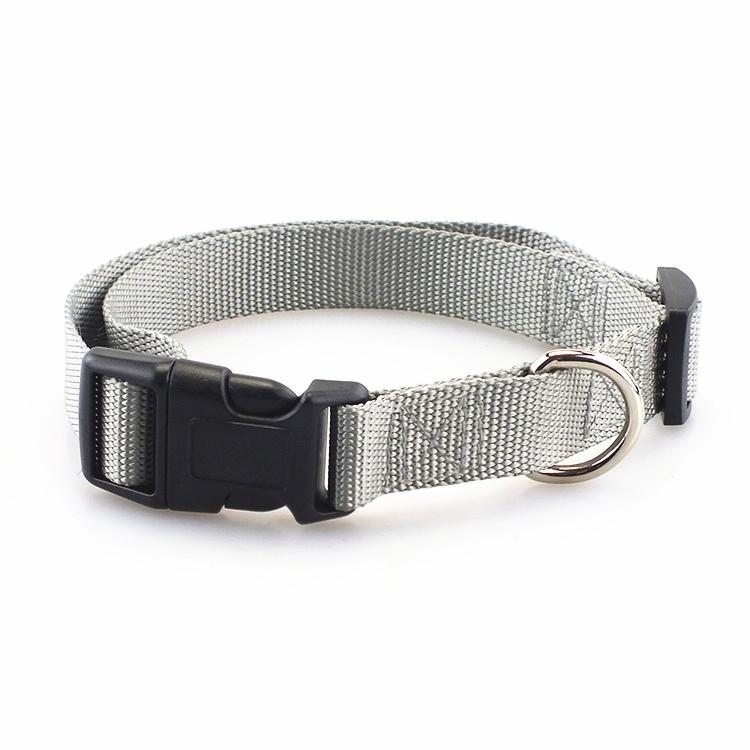 Solid Nylon Pets Dog Collars Multicolor Factory Direct Custom Simple Quality Personalized RIBBONS Printed Nylon Dog Lead 1-5days