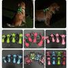 Light Up LED Dog Harness Rechargeable Adjustable Luminous Pet Chest Strap Flashing Padded Collar Dog Glow Vest for Night Walking
