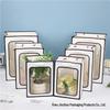 Thickened Kraft Paper Gift Bag with Window Handle for Souvenirs and Flowers, In-Stock