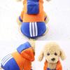 Winter Dog Clothes Contrasting Sweater Little Teddy Cat Bichon Dog Pet Supplies Clothes