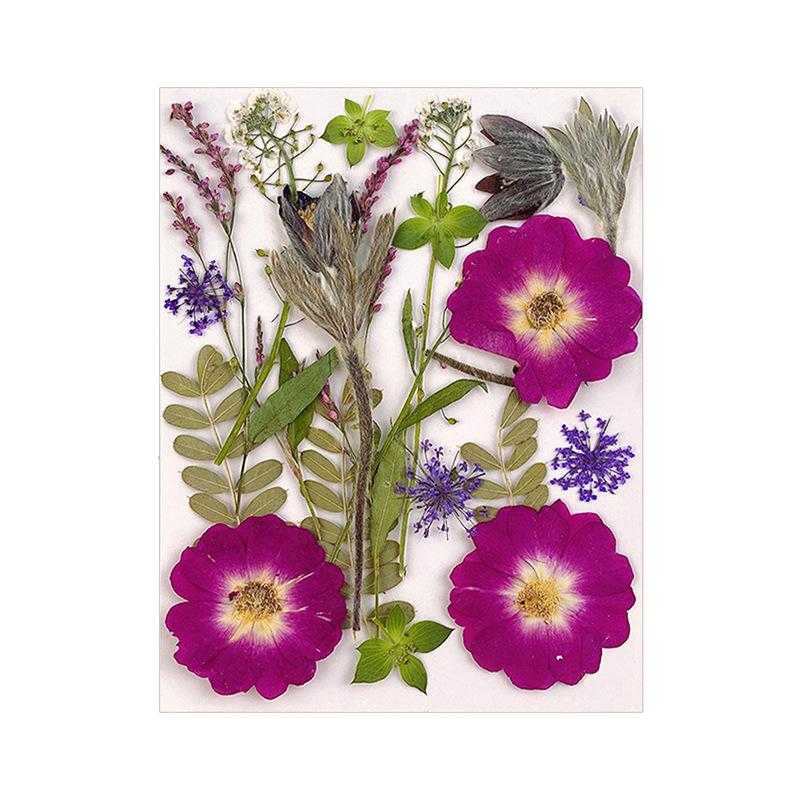 Прессованные сушеные цветы для наполнителей из смолы для изготовления ювелирных изделий. Настоящие натуральные растительные цветы для украшения ногтей.