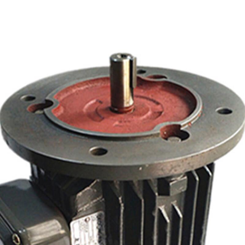 Dedong Vertical Three-Phase Asynchronous Motor