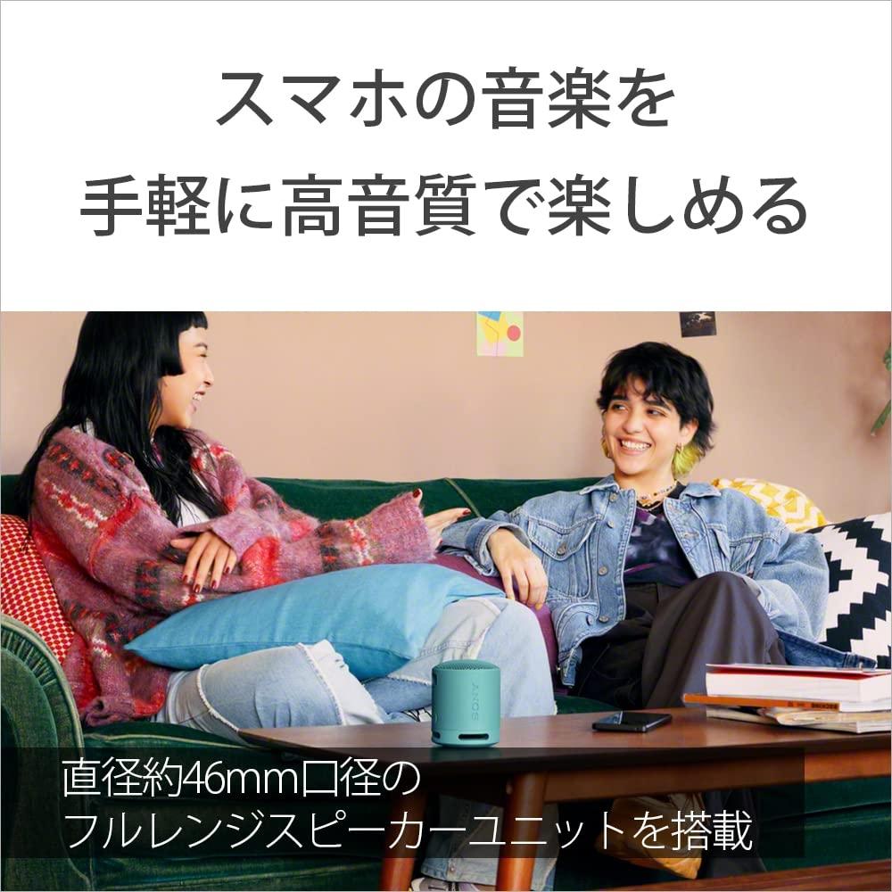 Sony Беспроводной динамик SRS-XB100: Чистое и глубокое воспроизведение басов. Защита от воды и пыли по стандарту IP67. Длительное время работы около 16 часов. Поддержка звонков в режиме громкой связи.